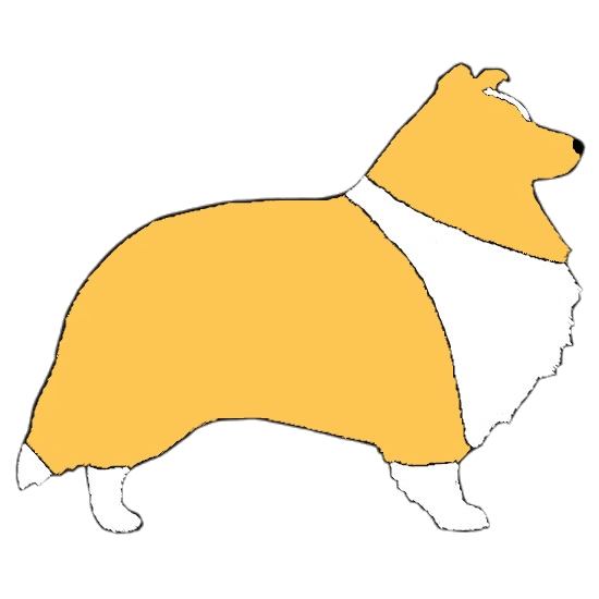Fellfarbe: Goldsable